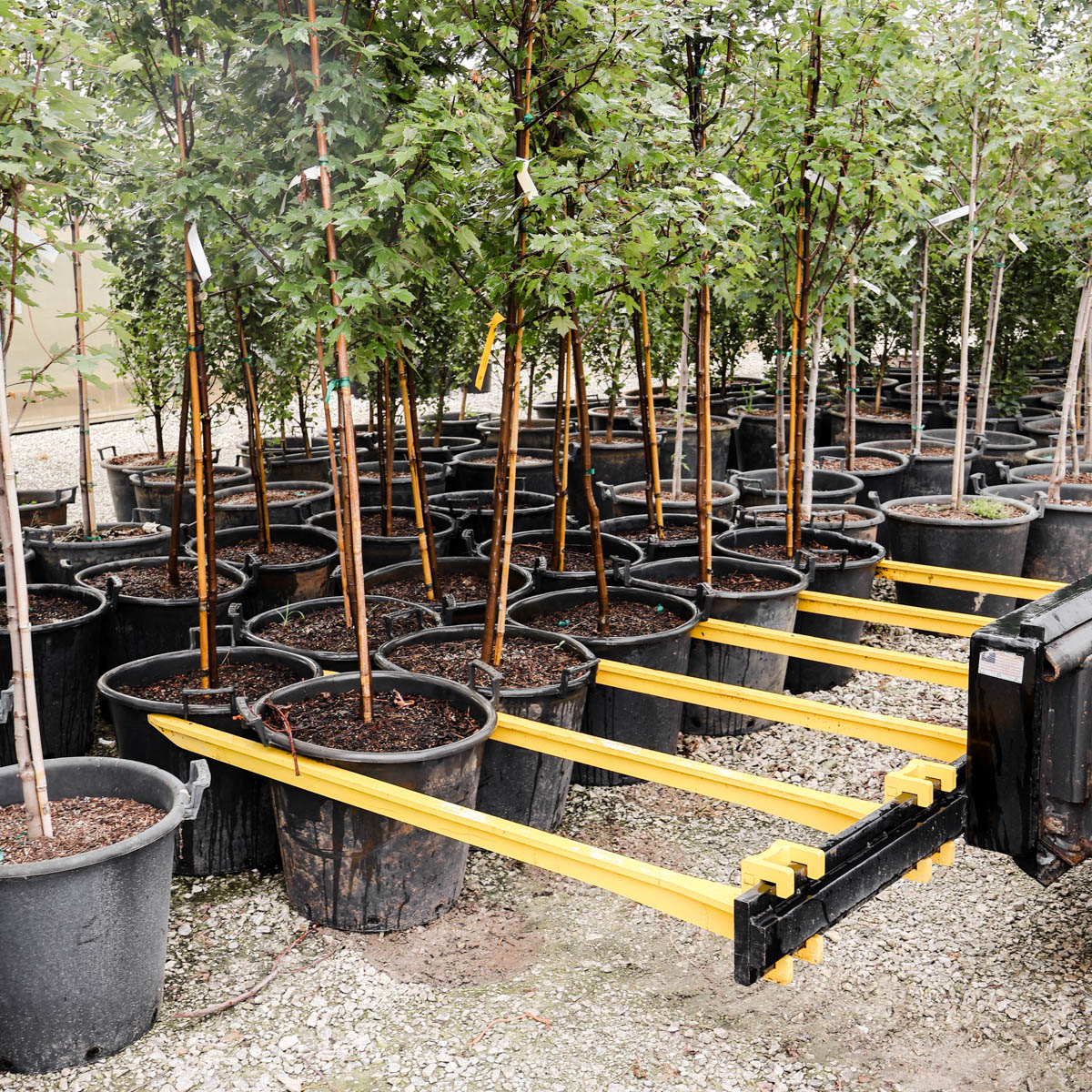 ProLine Pot Forks